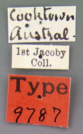 Media type: image; Entomology 9787   Aspect: labels
